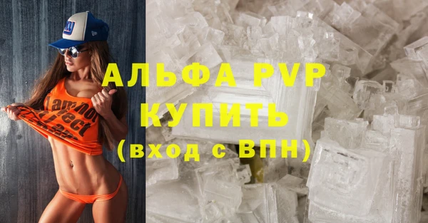 ешки Бородино
