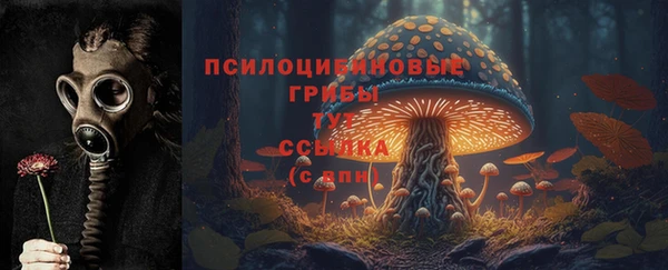 ГАЛЛЮЦИНОГЕННЫЕ ГРИБЫ Богородицк