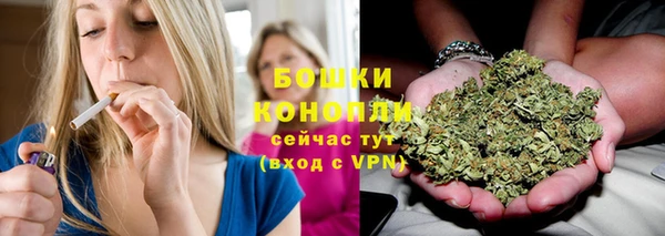 ГАЛЛЮЦИНОГЕННЫЕ ГРИБЫ Богородицк