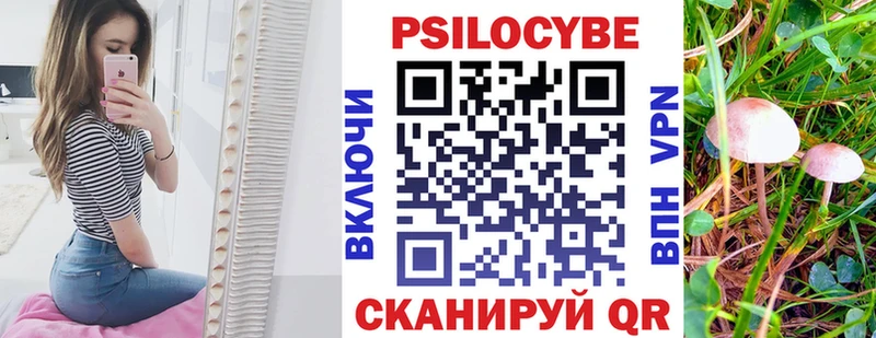 Псилоцибиновые грибы MAGIC MUSHROOMS  как найти закладки  Санкт-Петербург 
